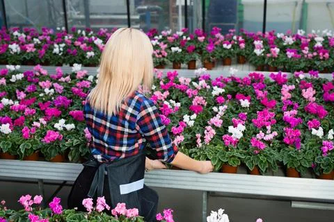 Taking care of plants Фото