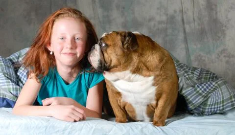 Taking dog to bed Stock Photos