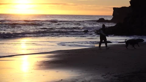 Taking the dog for a walk. Vídeos de archivo 293188699