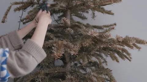 Taking down string lights from Christmas tree, end of festive season Stock Footage 332908584