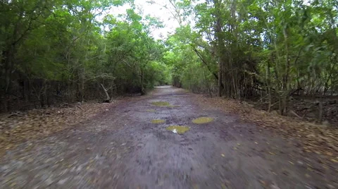 Taking a drive outside of the city Stock Footage 41458793