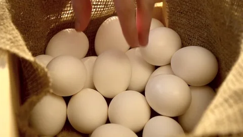 Taking egg in slow motion Stock Footage 77046948