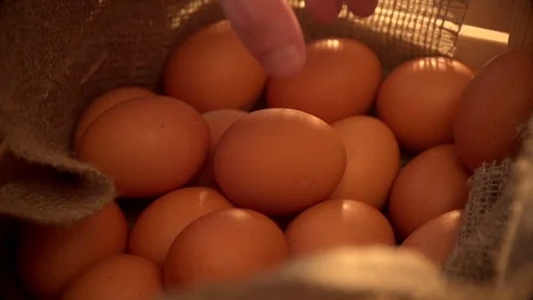 Taking egg in slow motion Stock Footage 77076108