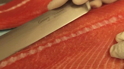 Taking fat salmon Stock Footage 77762683