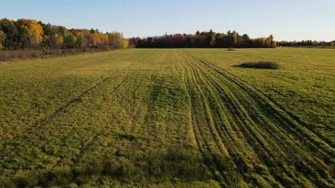 Taking off in a field 動画素材 140944676