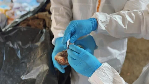 Taking a fingerprint from a corpse for further identification Stock-Footage 316325151