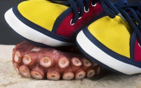 Taking the first step. Stock Photos