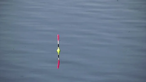 Taking a fish Stock Footage 76869545