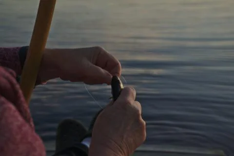 Taking a fish from the rod Stock Photos