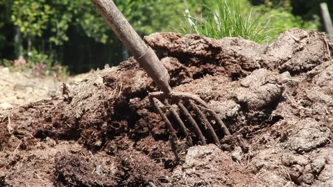 Taking the fork Stock Footage 94560311