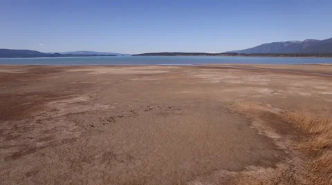 Taking Off Geese Flying Over Flathead Lake Video stock 65521749