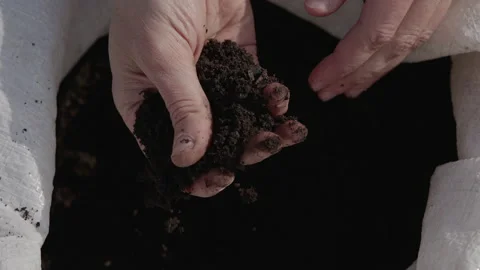 Taking a handful of soil and feeling its texture Stock Footage 159457632