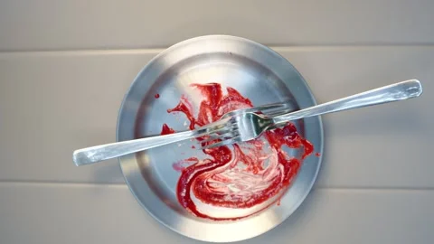 Taking Last Bite of Dessert and Leaving Forks on Empty Plate Stock Footage 343642007