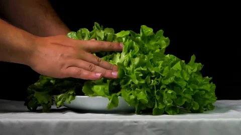 Taking the lettuce from a plate Stock Footage 77716817