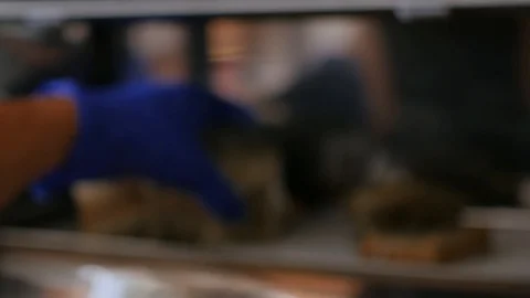 Taking moldy bread from bread box Stock Footage 115834938