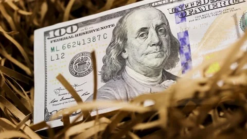 Taking money from a nest egg Stock Footage 169828101
