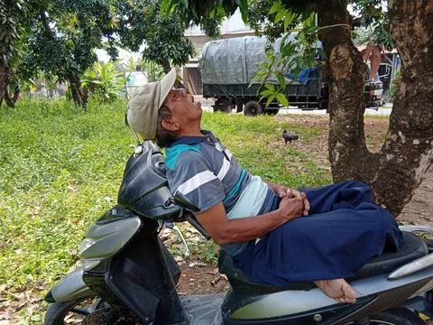 Taking a Nap on the Ride Stock Photos