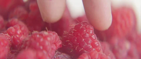 Taking one fresh raspberry from bowl 4k sliding video Stock Footage 311984388