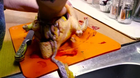 Taking out the insides from the bird to separate the edible from the uneatable Stock-Footage 78876145