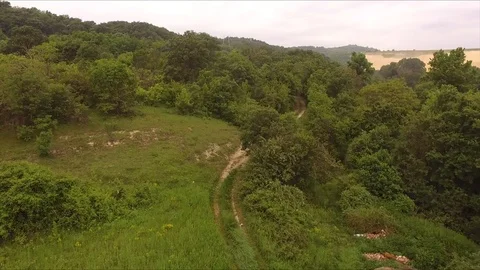 Taking off over the forest in the summer time Stock Footage 113193164
