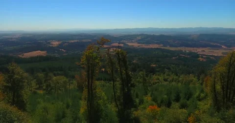 Taking off over Oregon forest and farmland, blue sky on the horizon. Stock Footage 66803178