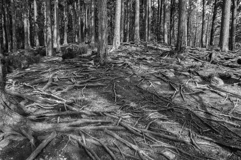 Taking over 스톡 사진