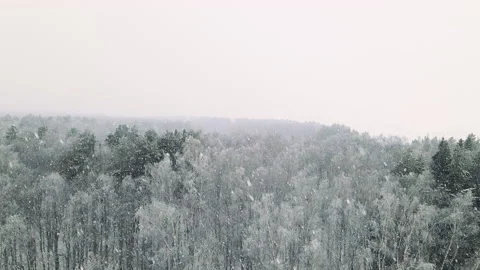Taking off over a winter forest in a snowfall Stock Footage 166363972