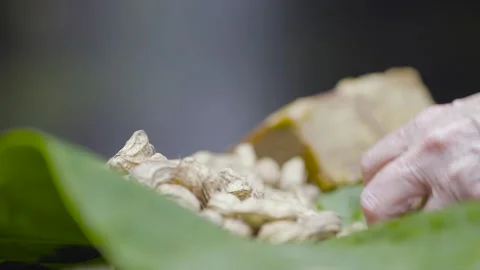 Taking peanuts with shell and panela on a leaf Video stock 304852350