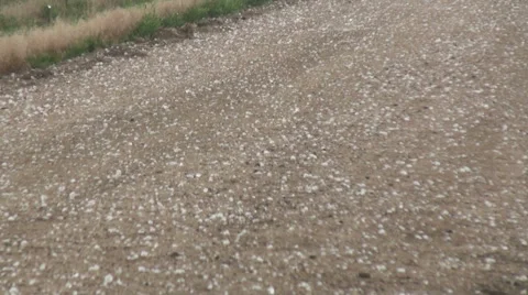 Taking a Pelting Stock Footage 54749039