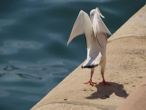 Taking off Stock Photos