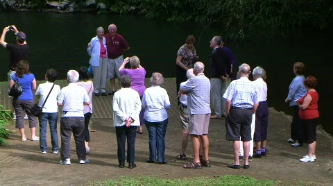 Taking pics 스톡 동영상 850921