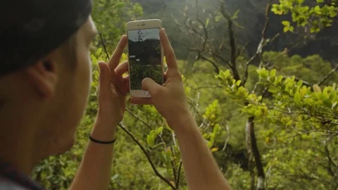Taking A Picture Of Nature Stock Footage 75252538