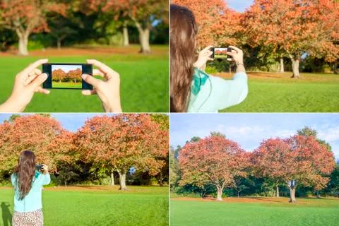 Taking a picture set Stock Photos