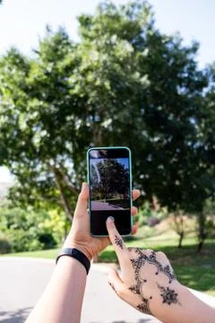 Taking picture of a tree with a smartphone Foto stock