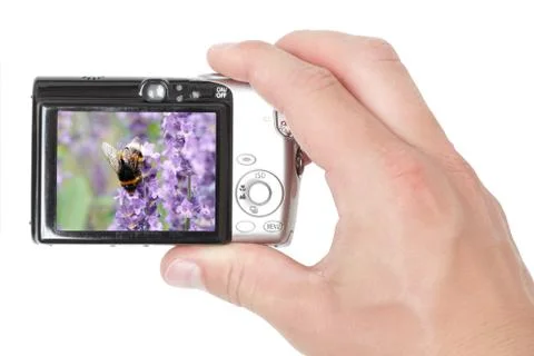 Taking pictures Stock Photos