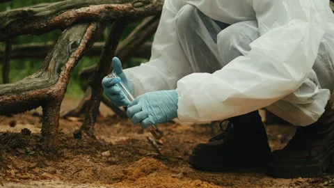 Taking probe of soil in forest, Geologist man worker taking measurements of soil Stock Footage 252697414