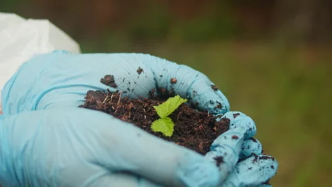 Taking probe of soil in forest, Geologist man worker taking measurements of soil Видео 252697839