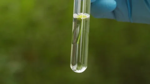 Taking probe of soil in forest, Geologist man worker taking measurements of soil Видео 252698584