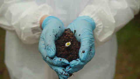Taking probe of soil in forest, Geologist man worker taking measurements of soil Stock Footage 253316419