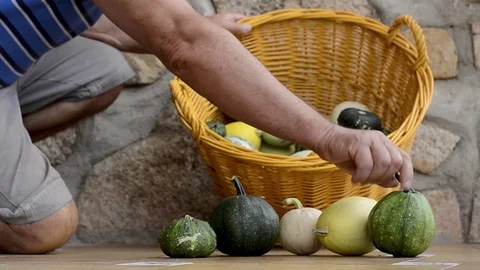 Taking pumpkins out of the basket Stock Footage 119924919