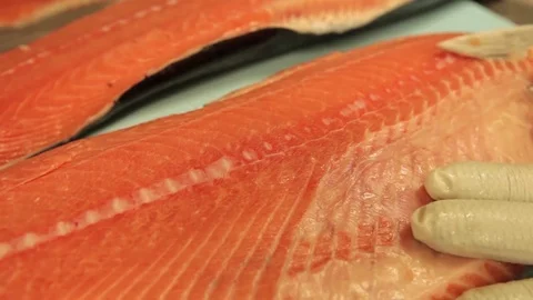 Taking of salmon fat Stock Footage 71724354