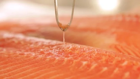 Taking of the salmon's spines Stock Footage 71723725