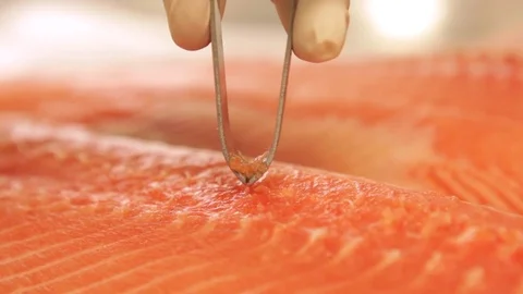 Taking the salmon's spines Stock Footage 77762675