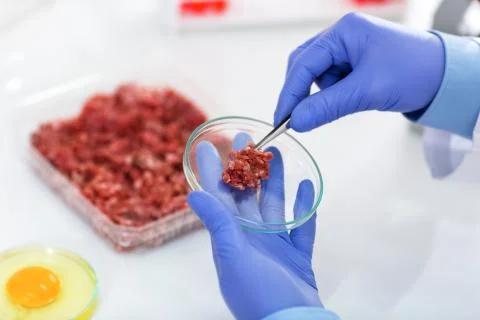 Taking sample of meat to test at laboratory Stock Photos