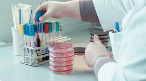 Taking samples Vidéo 37344412