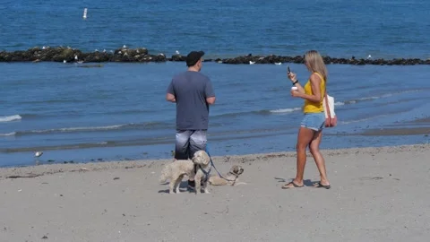 Taking selfie at the beach. A couple taking selfie close to the water. Stock-Footage 158284854