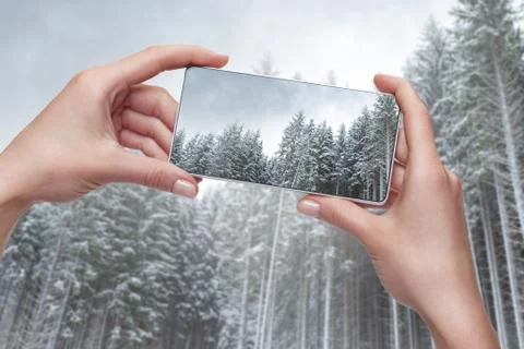 Taking a shot of winter forest with modern smartphone Stock Photos