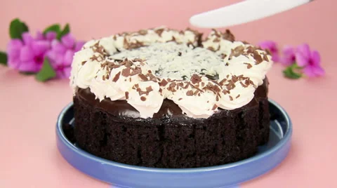 Taking Slice From Cake Video stock 5388204