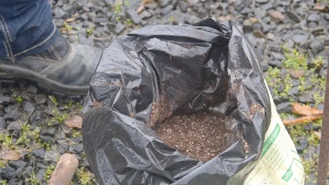 Taking Soil From A Bag for Plantation Stock Footage 100687811