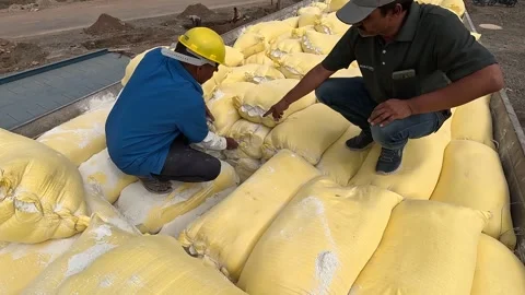 Taking the soil inside the lab for testing Stock Footage 283428990
